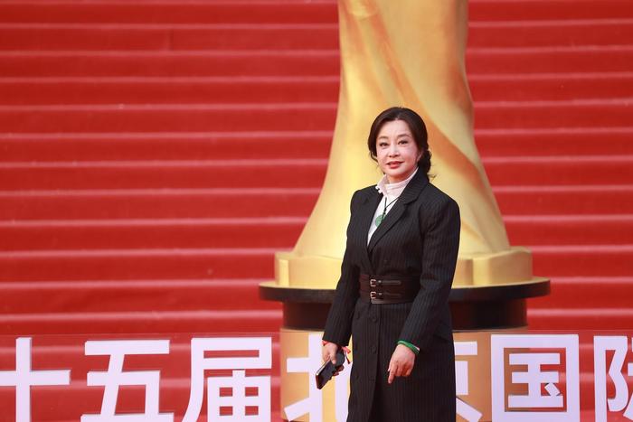 刘晓庆 图据视觉中国