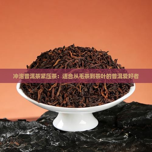 冲泡普洱茶紧压茶