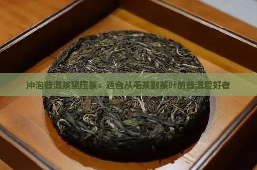 冲泡普洱茶紧压茶