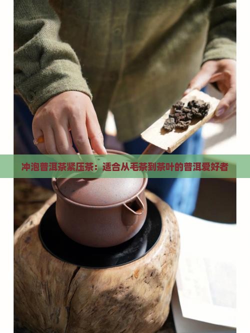 冲泡普洱茶紧压茶