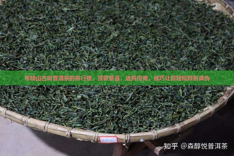 布朗山古树普洱茶的排行榜