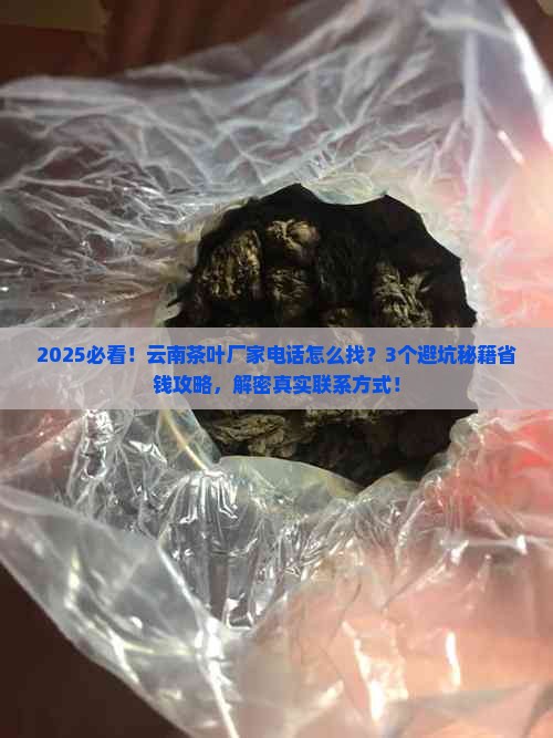 云南茶叶厂家电话