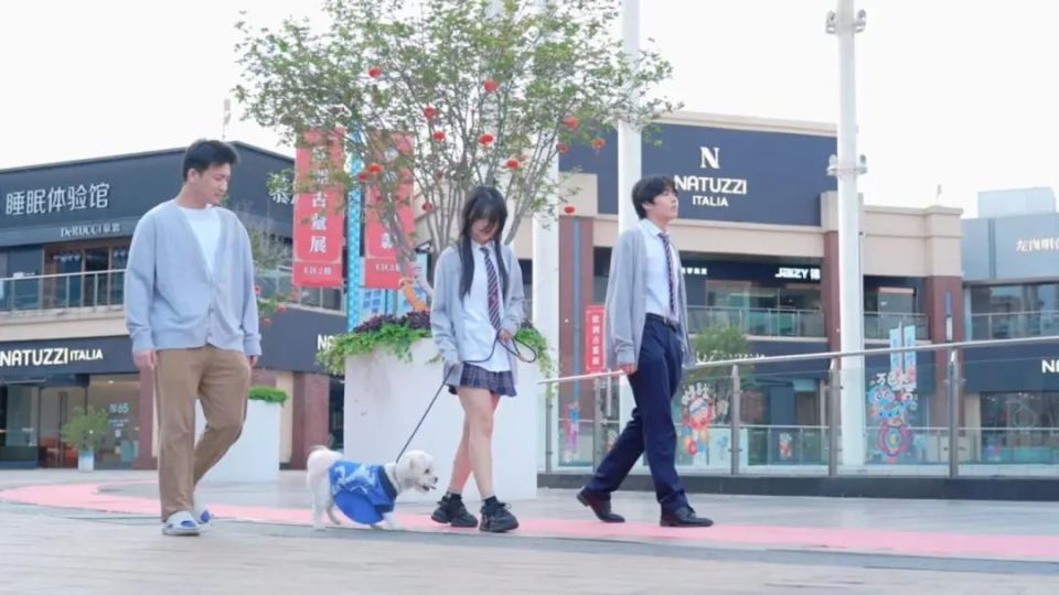 从校园到商圈！协和毛孩子Lucas用双语带你解锁赵巷宠物友好密码